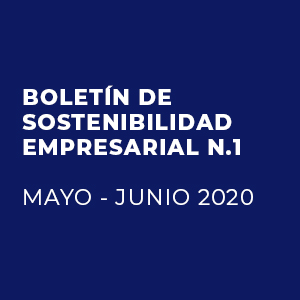 Boletín Informativo Mayo – Junio