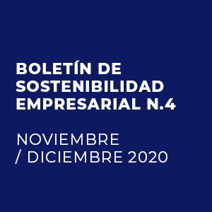 Boletín Informativo Noviembre – Diciembre