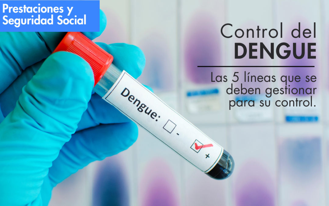 Control del DENGUE! Las 5 lineas que se deben gestionar para su control. Conózcalas aquí