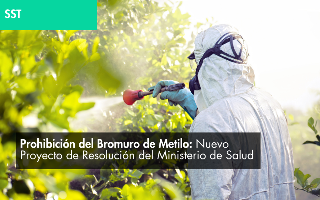 Prohibición del Bromuro de Metilo: Nuevo Proyecto de Resolución del Ministerio de  Salud